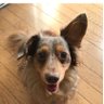 テソン's profile picture