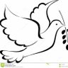 Profilbild von CRG_62