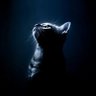 𝑺𝑯𝑬𝑳𝑳𝒀 profil fotoğrafı