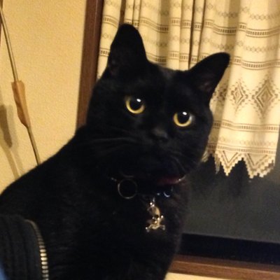 くうP's profile picture