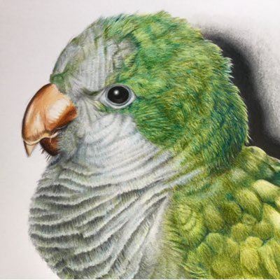 ぼんぼん's profile picture