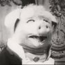 Profilbild von Tristan 