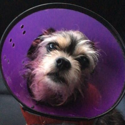 Lilpeep's profile picture