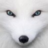 The Fox 的头像
