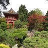 Bay Area Architect 的头像