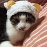 はるはる profil fotoğrafı