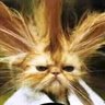 MIKEBARCELONA's profile picture