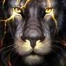 Dan's profile picture