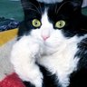 Jack Bartleby profil fotoğrafı
