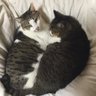 ☆★☆ヨハン☆★☆ profil fotoğrafı