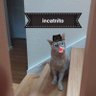 Profilbild von Incatnito