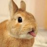 木村's profile picture