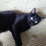 りえぷ profil fotoğrafı
