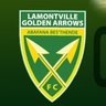 Profilbild von Lamontville Golden Arrows FC