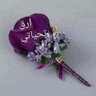 Mahmoud Mosa's profile picture