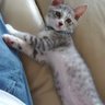 みえさん's profile picture