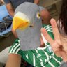 Lobo_SEP ^.^ profil fotoğrafı