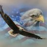 David Timmerman's profile picture