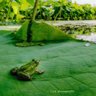 Фото профиля d_ara