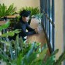 Ihsan Al's profile picture