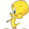 sacabat el brokil's profile picture