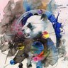 Dr Panda 的头像