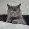 Фото профиля Katarzyna Liszka