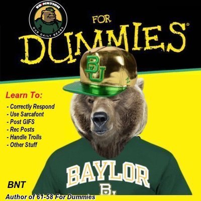 BearNTex's profile picture