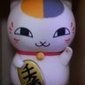 色ドリおじさん🐱🐾 profil fotoğrafı