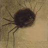 Profilbild von libreterrienne