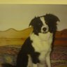 Profilbild von Dave (PATCH) Hodges