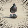 史上最強のヘタレ's profile picture