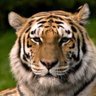 Евгений profil fotoğrafı
