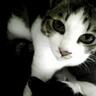 alfa_hiro profil fotoğrafı