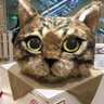 ( ^-)_旦~(オムソバ)'s profile picture