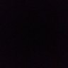 Travii's profile picture
