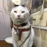 もういいよね profil fotoğrafı