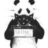Фото профиля The Panda Bare is moving to @vbadpanda.bsky.social