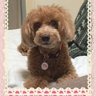 いの◞✰'s profile picture