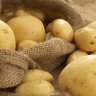 Potato Fan's profile picture