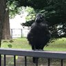 颯子 profil fotoğrafı