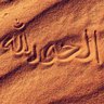 الجوازي @Aljozi13's profile picture