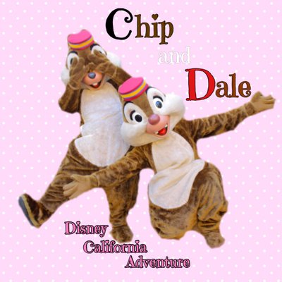 だにえる🐿️WDW FTW卒花's profile picture