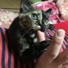 さつきママ 的头像