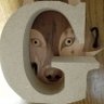 Profilbild von koda