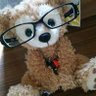 Profilbild von まさちゃん