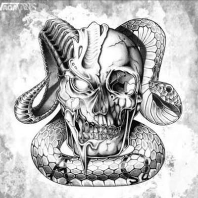 Ernesto Rojas Ayuzo's profile picture