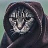 Mustafa profil fotoğrafı