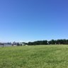 サル化したリベラルの足跡 的头像
