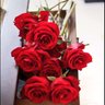 Фото профиля Nectar Roses